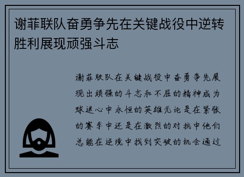 谢菲联队奋勇争先在关键战役中逆转胜利展现顽强斗志